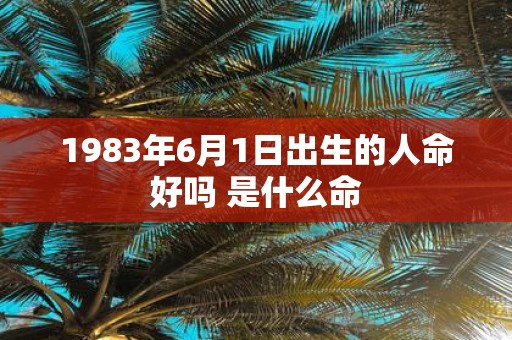 1983年6月1日出生的人命好吗 是什么命
