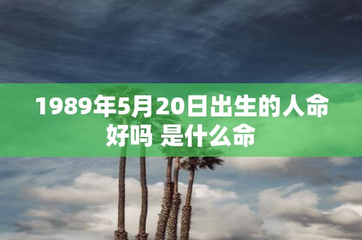 1989年5月20日出生的人命好吗 是什么命