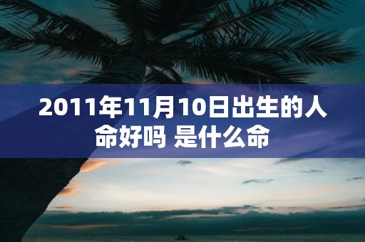 2011年11月10日出生的人命好吗 是什么命