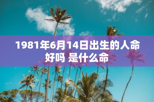 1981年6月14日出生的人命好吗 是什么命