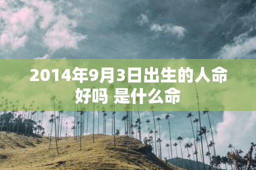 2014年9月3日出生的人命好吗 是什么命
