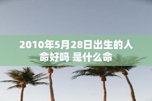 2010年5月28日出生的人命好吗 是什么命