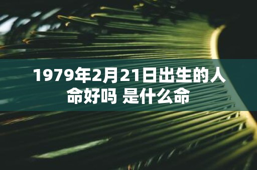 1979年2月21日出生的人命好吗 是什么命