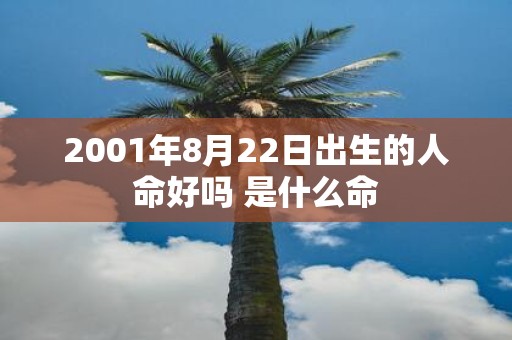 2001年8月22日出生的人命好吗 是什么命