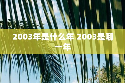 2003年是什么年 2003是哪一年