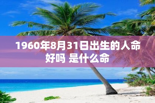 1960年8月31日出生的人命好吗 是什么命