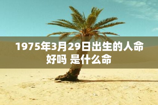1975年3月29日出生的人命好吗 是什么命