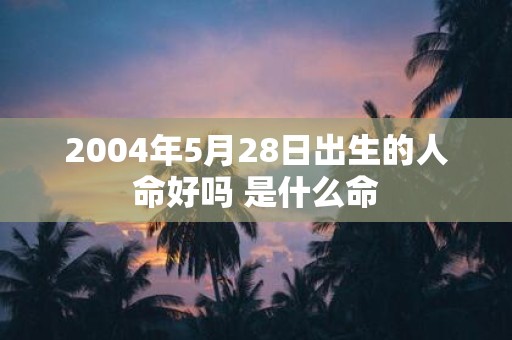 2004年5月28日出生的人命好吗 是什么命
