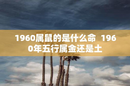 1960属鼠的是什么命 1960年五行属金还是土