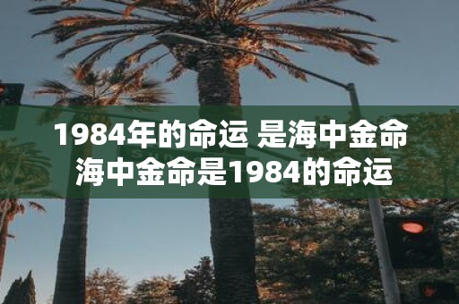 1984年的命运 是海中金命 海中金命是1984的命运