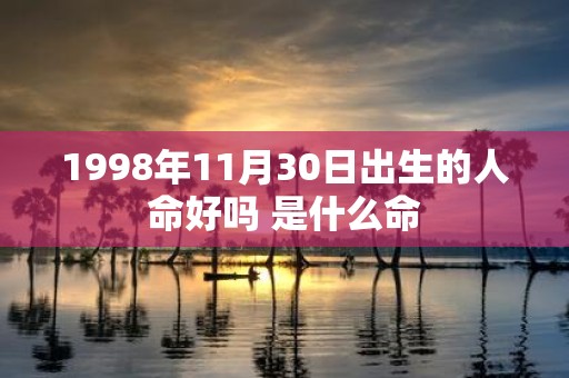 1998年11月30日出生的人命好吗 是什么命