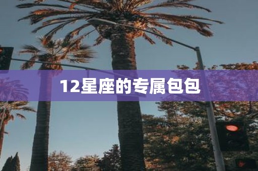 12星座的专属包包