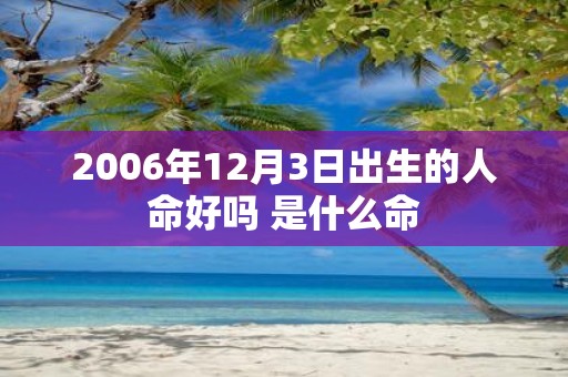 2006年12月3日出生的人命好吗 是什么命