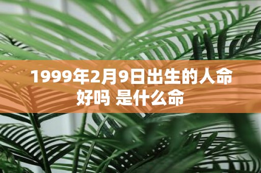 1999年2月9日出生的人命好吗 是什么命