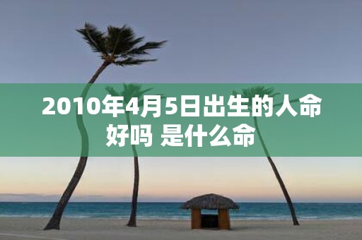 2010年4月5日出生的人命好吗 是什么命
