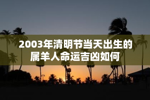 2003年清明节当天出生的属羊人命运吉凶如何
