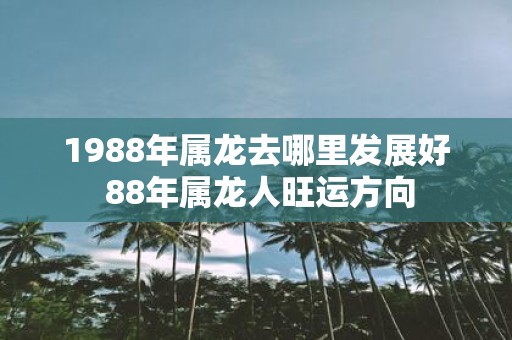 1988年属龙去哪里发展好 88年属龙人旺运方向