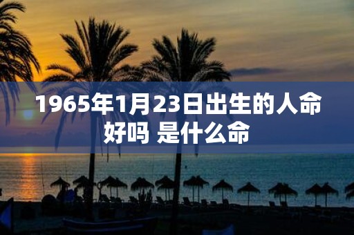 1965年1月23日出生的人命好吗 是什么命