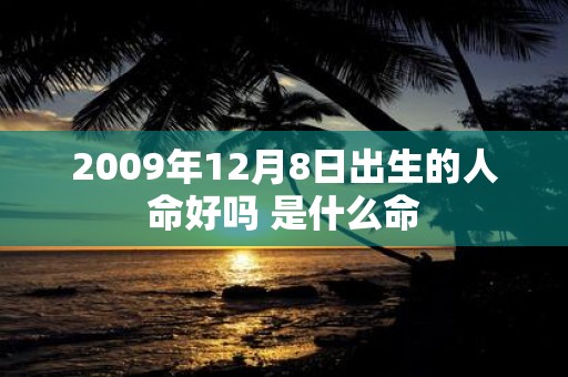 2009年12月8日出生的人命好吗 是什么命