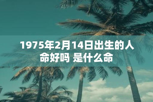 1975年2月14日出生的人命好吗 是什么命