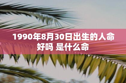 1990年8月30日出生的人命好吗 是什么命