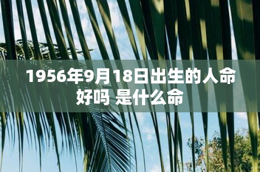 1956年9月18日出生的人命好吗 是什么命