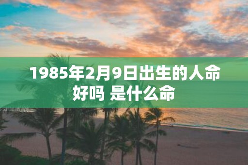 1985年2月9日出生的人命好吗 是什么命
