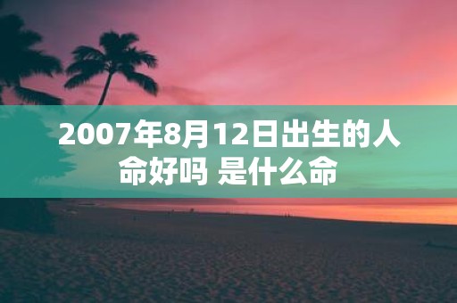 2007年8月12日出生的人命好吗 是什么命