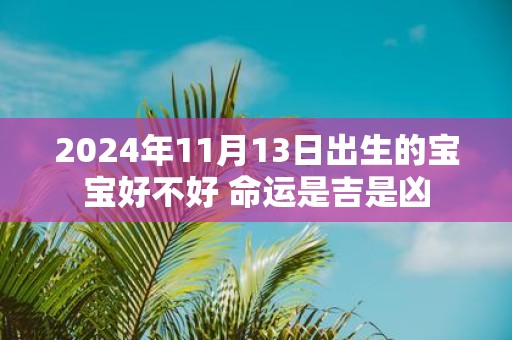 2025年11月13日出生的宝宝好不好 命运是吉是凶