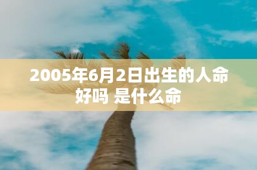 2005年6月2日出生的人命好吗 是什么命
