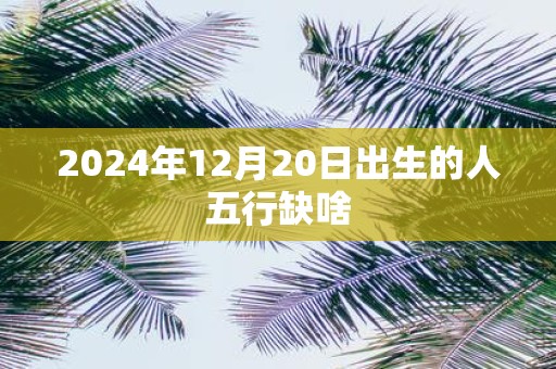 2025年12月20日出生的人五行缺啥