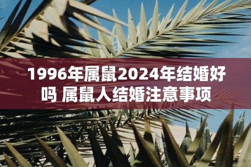 1996年属鼠2025年结婚好吗 属鼠人结婚注意事项