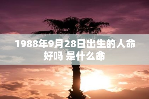 1988年9月28日出生的人命好吗 是什么命