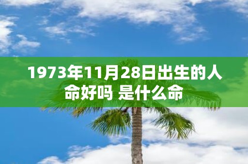 1973年11月28日出生的人命好吗 是什么命