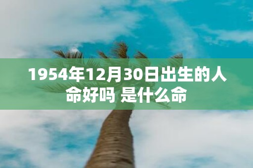 1954年12月30日出生的人命好吗 是什么命