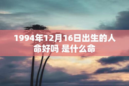 1994年12月16日出生的人命好吗 是什么命