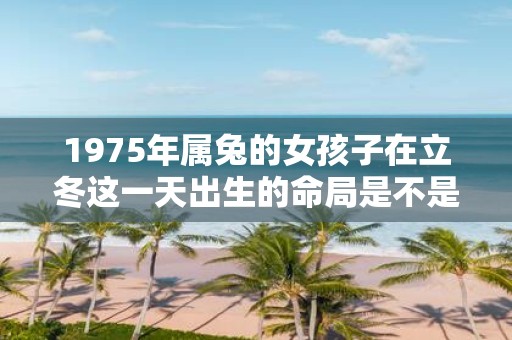 1975年属兔的女孩子在立冬这一天出生的命局是不是旺夫命