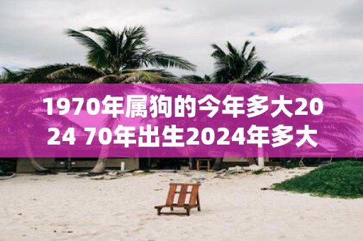 1970年属狗的今年多大2025 70年出生2025年多大年龄