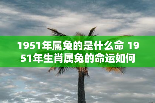 1951年属兔的是什么命 1951年生肖属兔的命运如何