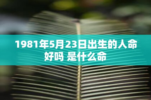 1981年5月23日出生的人命好吗 是什么命