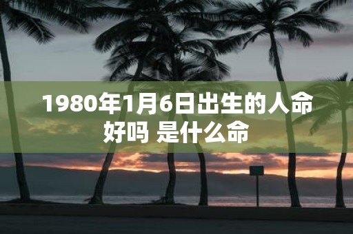 1980年1月6日出生的人命好吗 是什么命