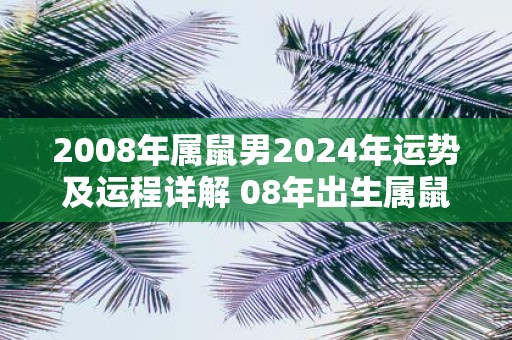 2008年属鼠男2025年运势及运程详解 08年出生属鼠人2025全年每月运势男性