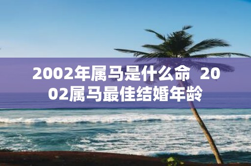 2002年属马是什么命 2002属马最佳结婚年龄