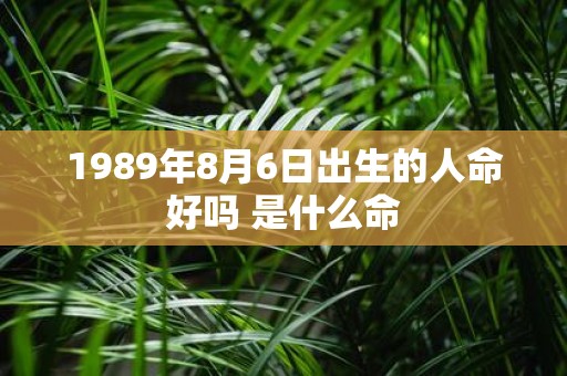 1989年8月6日出生的人命好吗 是什么命