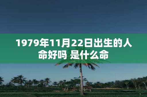 1979年11月22日出生的人命好吗 是什么命