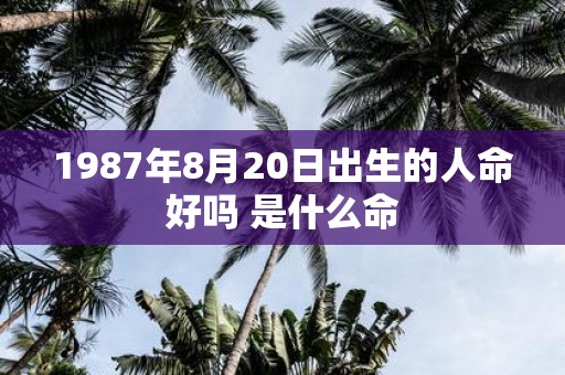 1987年8月20日出生的人命好吗 是什么命