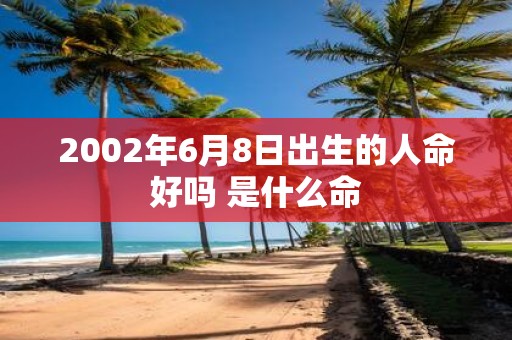 2002年6月8日出生的人命好吗 是什么命