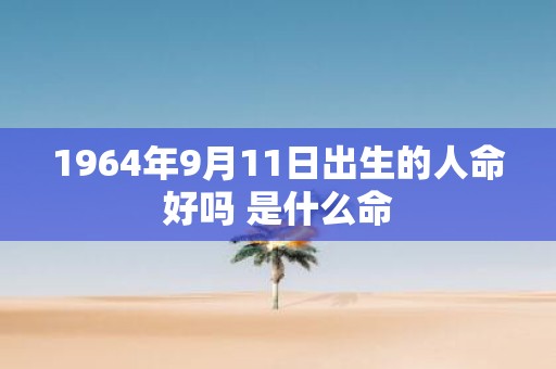 1964年9月11日出生的人命好吗 是什么命