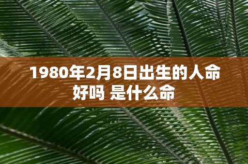 1980年2月8日出生的人命好吗 是什么命