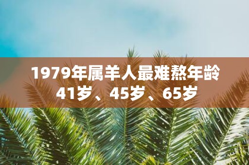 1979年属羊人最难熬年龄 41岁、45岁、65岁